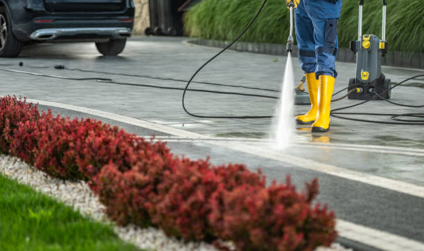 Best Parking Lot and Garage Cleaning  in Jacinto City, TX